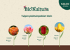 Pluktuinpakket Tulpen - Klein