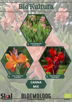 Canna's