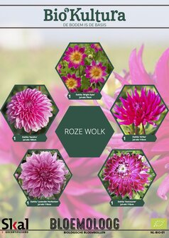 Dahliamix "Roze wolk"