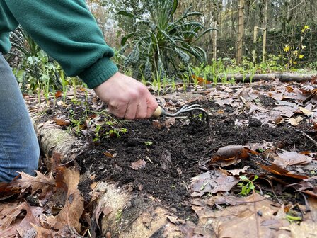 Cultivator 3-tands – De Wit 