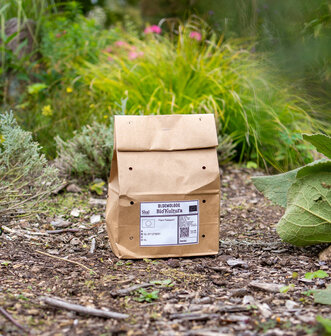 Bloembollenpakket Allium