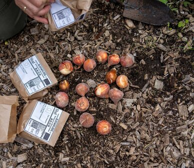 Pluktuinpakket groot