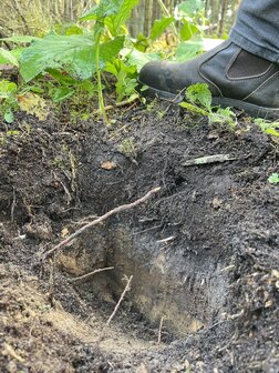 Bodemanalyse pakket B: Bodemmilieu en Bodemleven