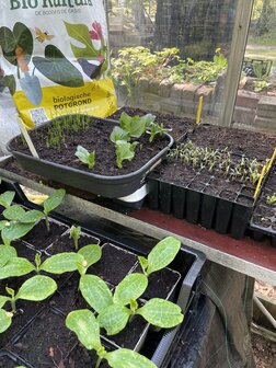 Biologische Potgrond - Big Bag 1m3