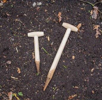 Atlas Pootstok met punt en doorgestoken hilt