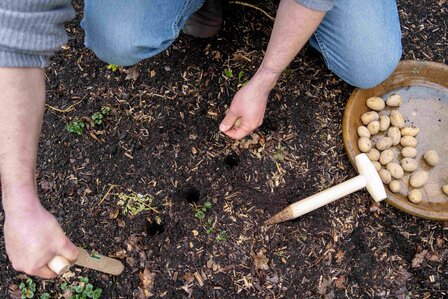 Atlas Pootstok met punt en doorgestoken hilt