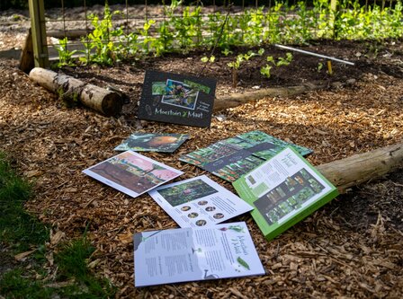 MoestuinMaat pakket: klaar voor de start