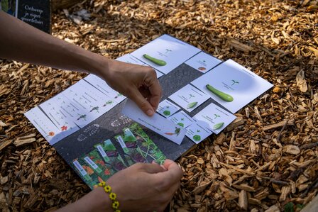 MoestuinMaat pakket: klaar voor de start