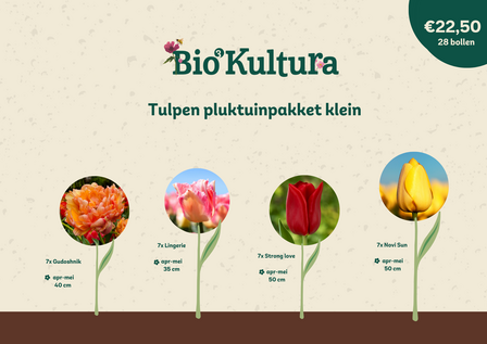 Pluktuinpakket Tulpen - Klein