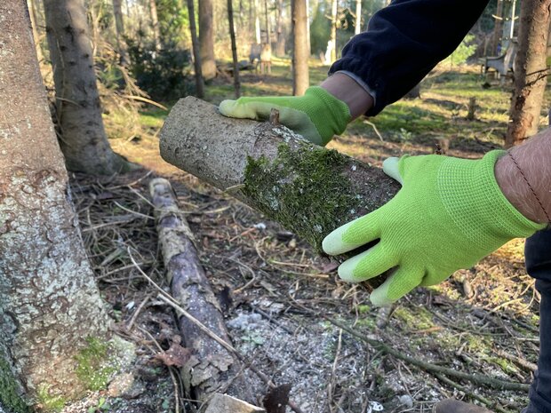 Tuinhandschoenen