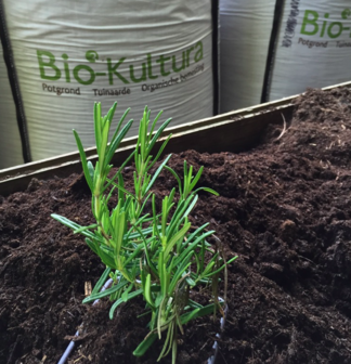 Big Bag Biologische Potgrond 1m3 + losse zakken