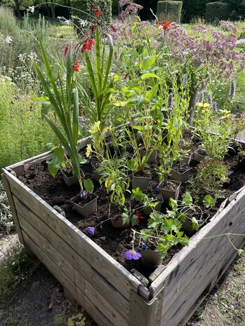 Big Bag Biologische Tuinaarde-compost 1m3 + losse zakken 