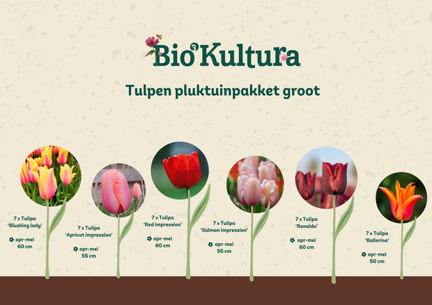 Pluktuinpakket groot
