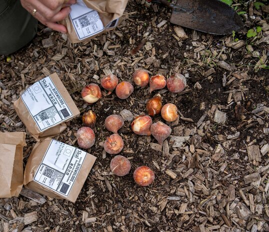 Pluktuinpakket groot