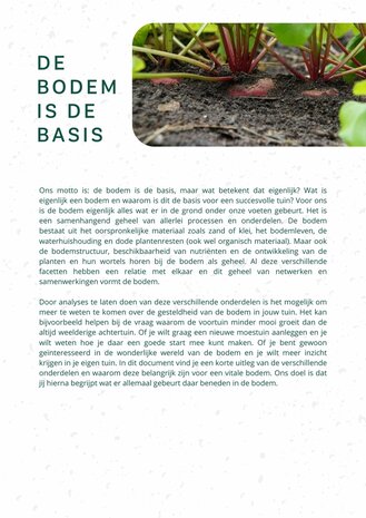 Bodemanalyse pakket B: Bodemmilieu en Bodemleven