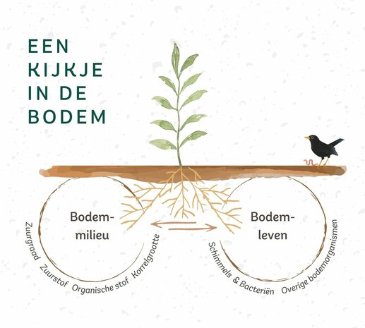 Bodemanalyse pakket B: Bodemmilieu en Bodemleven