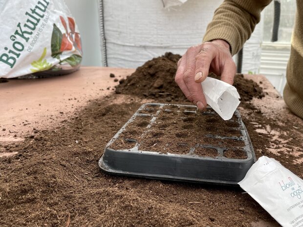 Zaaitray 30 cellen - van natuurlijk rubber