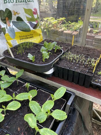 Big Bag Biologische Potgrond 1m3 + losse zakken