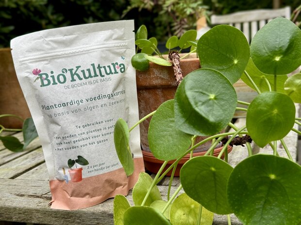 Plantaardige voedingskorrels voor kamerplanten en potplanten (500 gram)