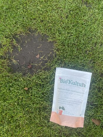 Plantaardige voedingskorrels voor kamerplanten en potplanten (500 gram)