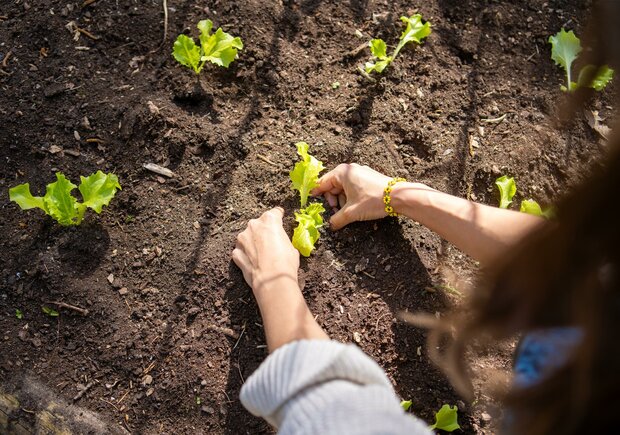 MoestuinMaat pakket: klaar voor de start