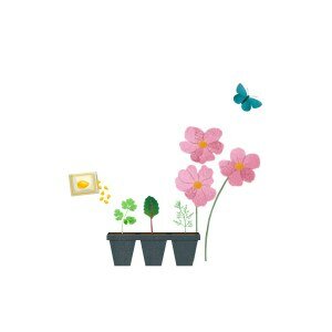 Moestuin en Pluktuin