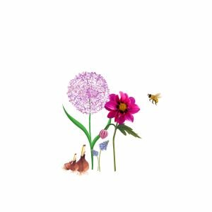 Voorjaars- en zomerbollen