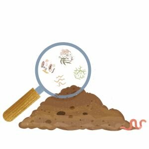 Bodemanalyse + educatie