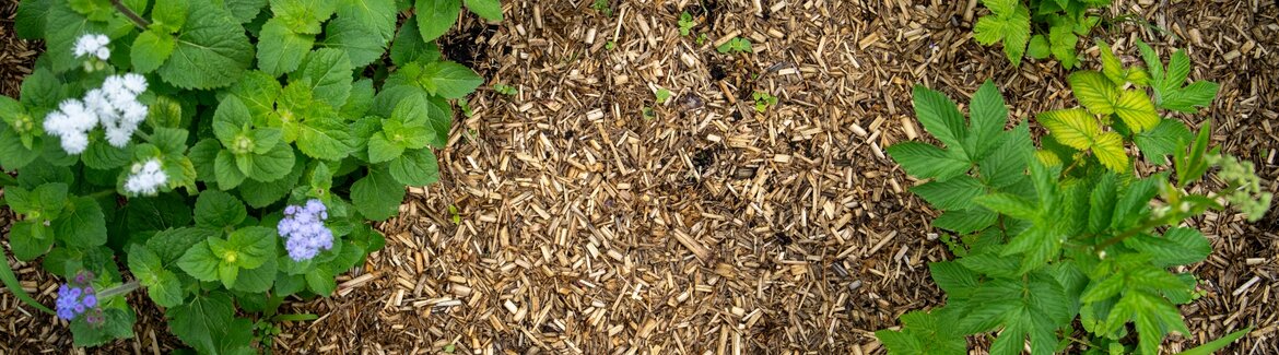 Mix-&-Mulch