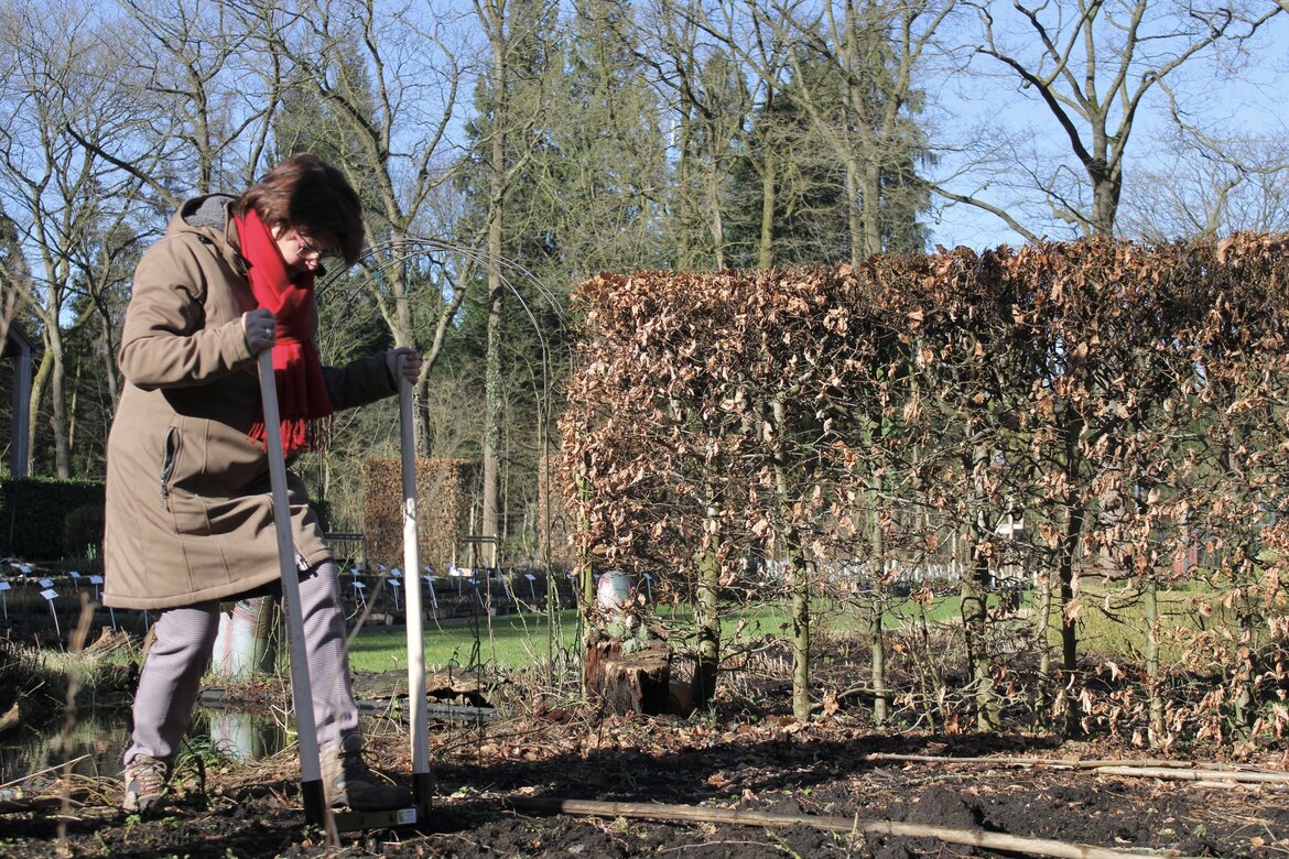 Grondbewerking: waarom woelen beter is dan spitten