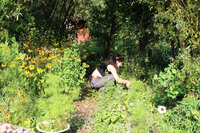 Planten gebruiken als kleurstof: interview met kunstenares Sophie Steengracht Planten gebruiken als kleurstof: interview met kunstenares Sophie Steengracht