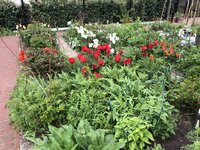 Eten uit je eigen tuin: op bezoek in de Smultuin van Claudia Reina Eten uit je eigen tuin: op bezoek in de Smultuin van Claudia Reina