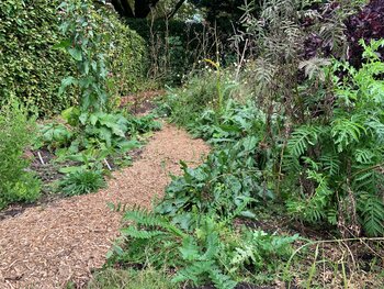 Miscanthus gebruiken als mulch