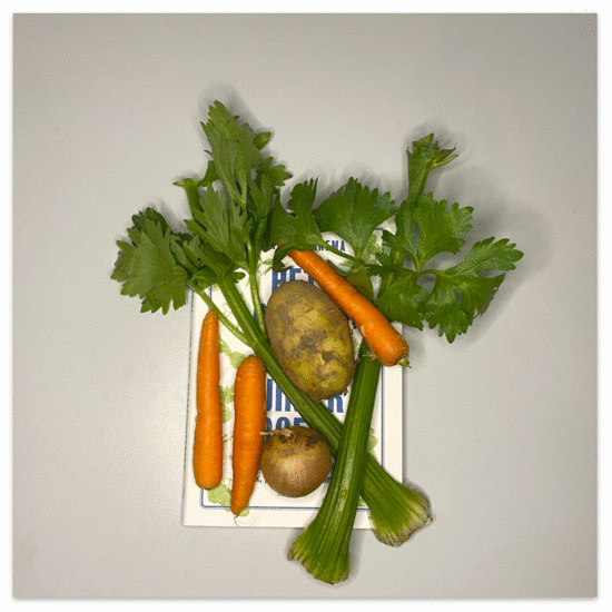 Het grote moestuinierboek 