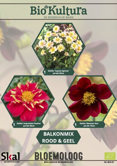 Balkonmix rood-geel