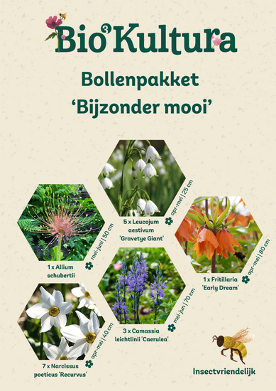 Bloembollenpakket Bijzonder mooi