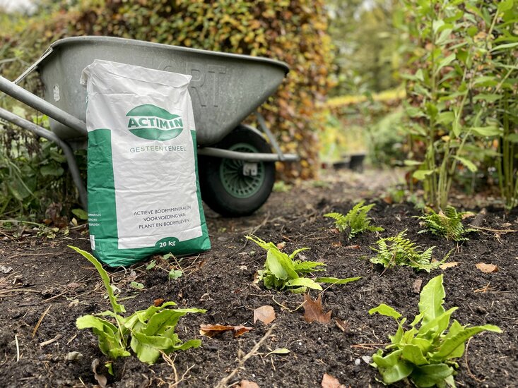 Actimin Gesteentemeel (20 KG)