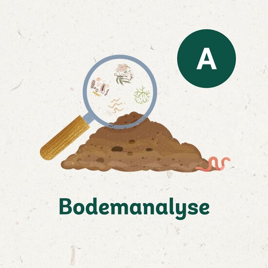 Bodemanalyse pakket A: Bodemmilieu