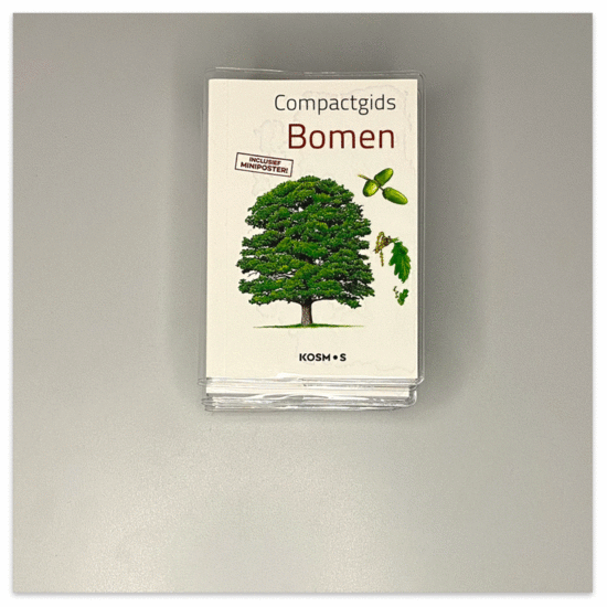 Compactgids in verschillende thema's - met miniposter 