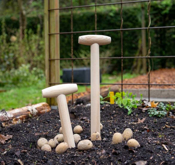 Atlas Pootstok met punt en doorgestoken hilt