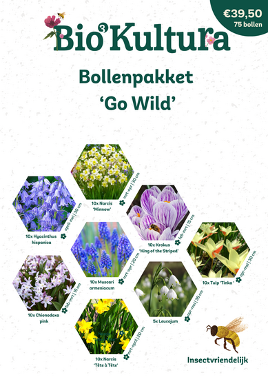 Bloembollenpakket Go Wild – verwilderingsbollen